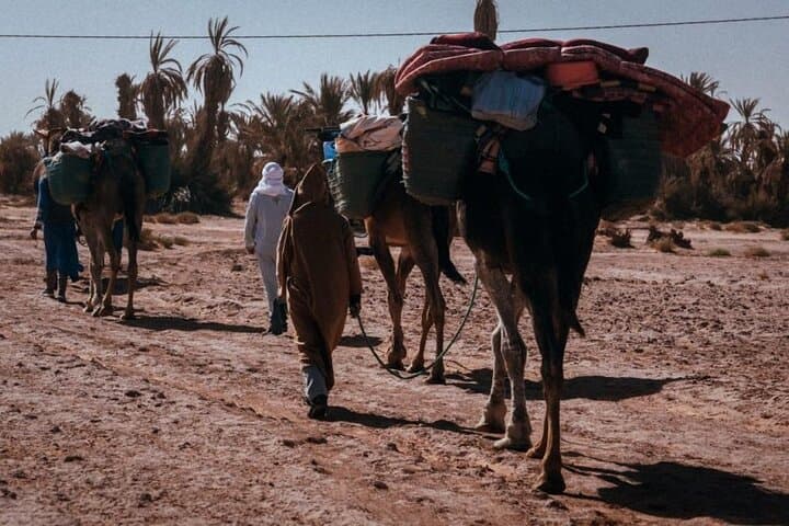 4-Day Morocco Desert Trek: 2 Days on Foot to M'Hamid Dunes photo 3