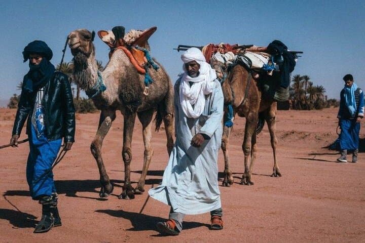 4-Day Morocco Desert Trek: 2 Days on Foot to M'Hamid Dunes photo 4