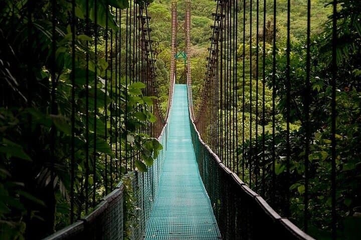 Arenal Mistico Hanging Bridges: Canopy Walk & Rainforest Wildlife Tour photo 2