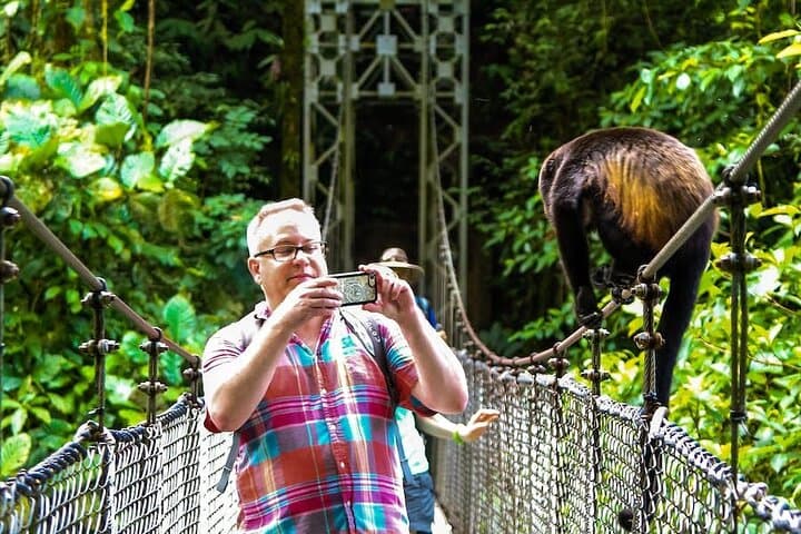 Arenal Mistico Hanging Bridges: Canopy Walk & Rainforest Wildlife Tour photo 6