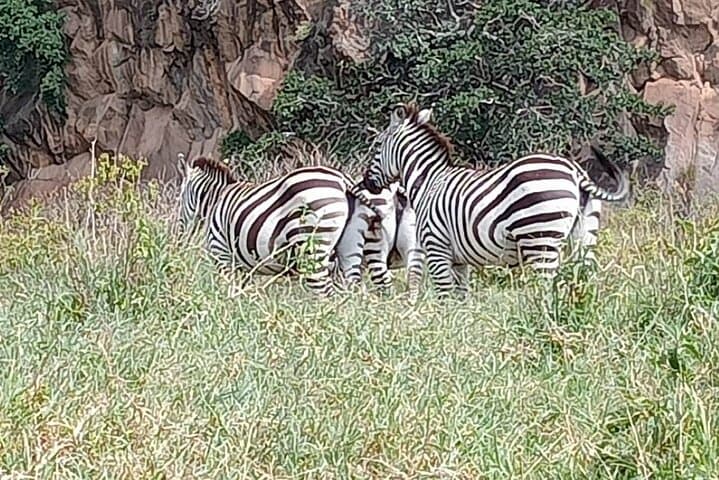 Hell's Gate Biking Safari & Lake Naivasha Boat Ride — Day Trip from Nairobi photo 3