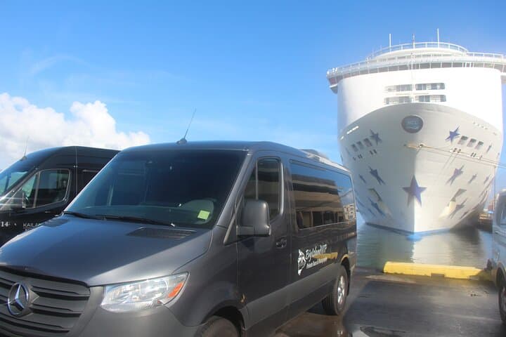 Explore Hilo's Volcanoes: Private Shore Excursion to Hawaii Volcanoes National Park