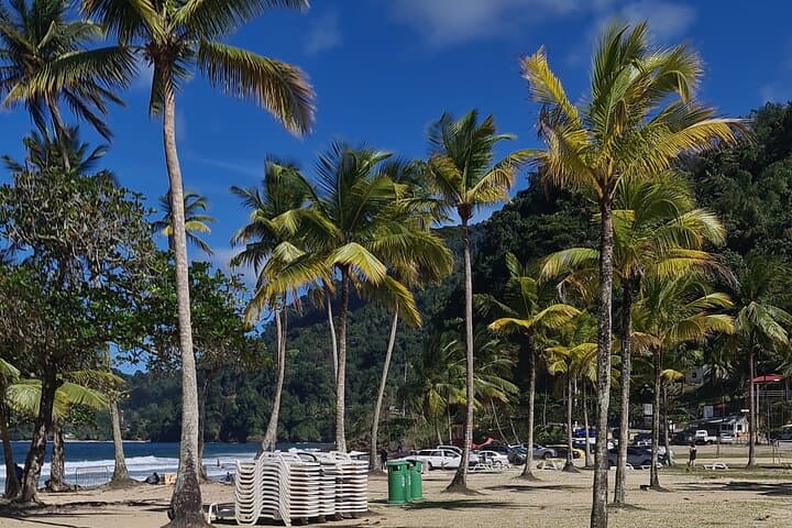 Avocat Waterfall and Maracas Bay: North Coast Hike and Beach Stop from Port of Spain photo 5