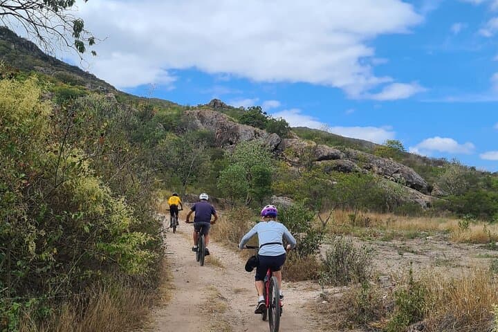 MTB to the Tule Tree: 25 km Mountain Bike Tour from Oaxaca photo 3