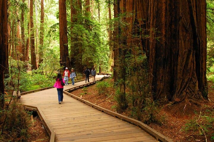 Private Muir Woods, Sausalito & Marin Headlands Full-Day Tour from San Francisco photo 4
