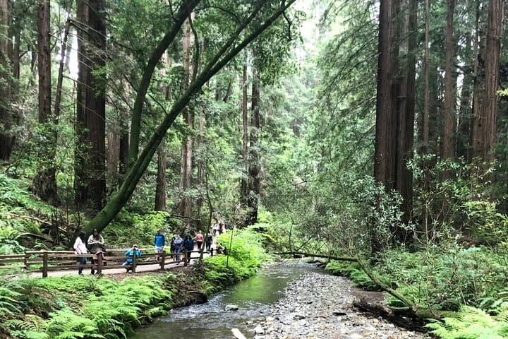 Private Muir Woods, Sausalito & Marin Headlands Full-Day Tour from San Francisco photo 6