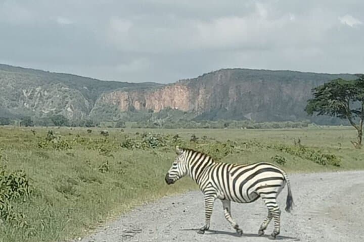 Hell's Gate Biking Safari & Lake Naivasha Boat Ride — Day Trip from Nairobi photo 6