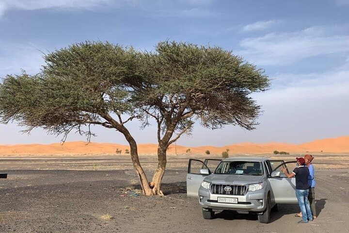 Errachidia to Merzouga: 2-Day Private Desert Tour with Camel Trek and Camp photo 1