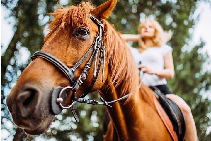 Ultimate Tulum Adventure — ATVs, Ziplines, Horses & Cenote Swim Near Tulum