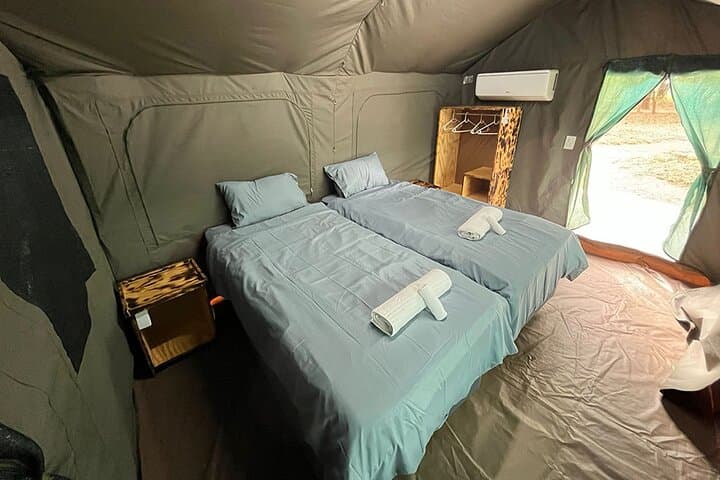 5-Day Kruger Glamping Safari & Panorama Route: Orpen-Satara Big Five Adventure photo 4