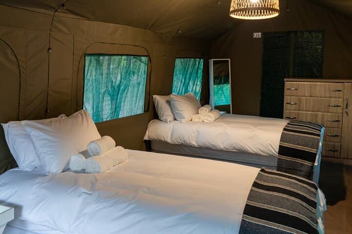 5-Day Kruger Glamping Safari & Panorama Route: Orpen-Satara Big Five Adventure photo 5