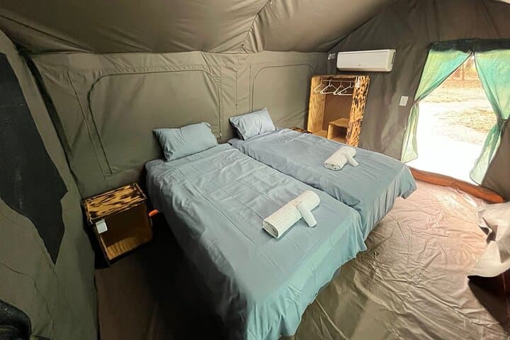 5-Day Dumela Tented Camp Kruger National Park: Budget Glamping & Big Five Safaris