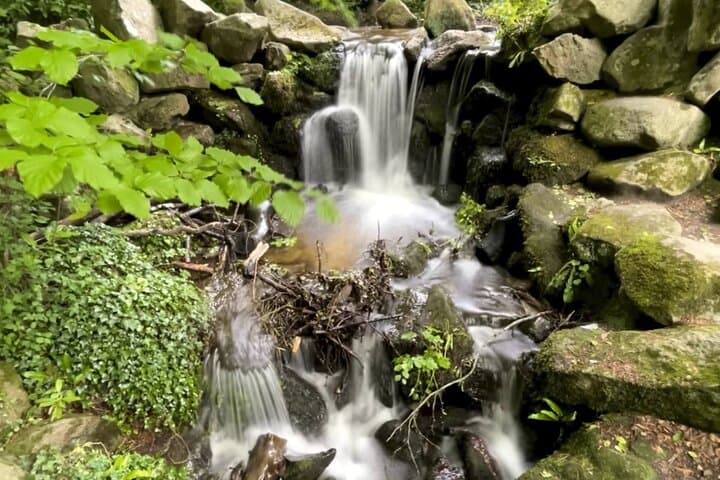 Private Wicklow Day Tour from Dublin: Glendalough, Lough Tay & Sally Gap photo 3