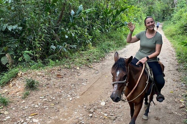 Half-Day Horseback Ride Through Santa Elena's Forests from Medellín photo 2