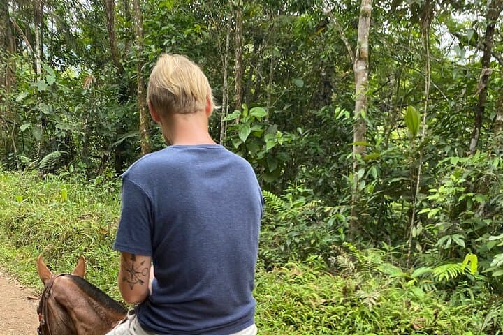 Half-Day Horseback Ride Through Santa Elena's Forests from Medellín photo 3