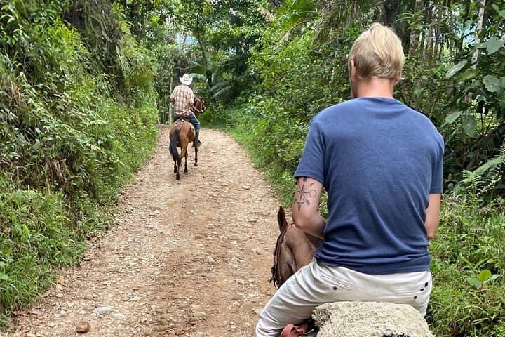 Half-Day Horseback Ride Through Santa Elena's Forests from Medellín photo 4