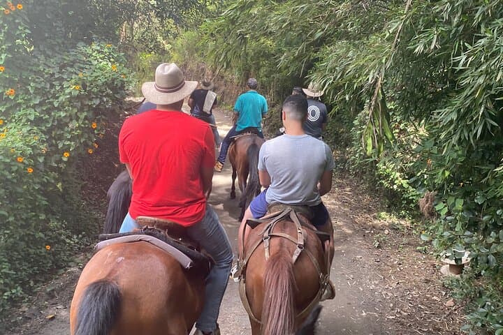 Half-Day Horseback Ride Through Santa Elena's Forests from Medellín photo 5