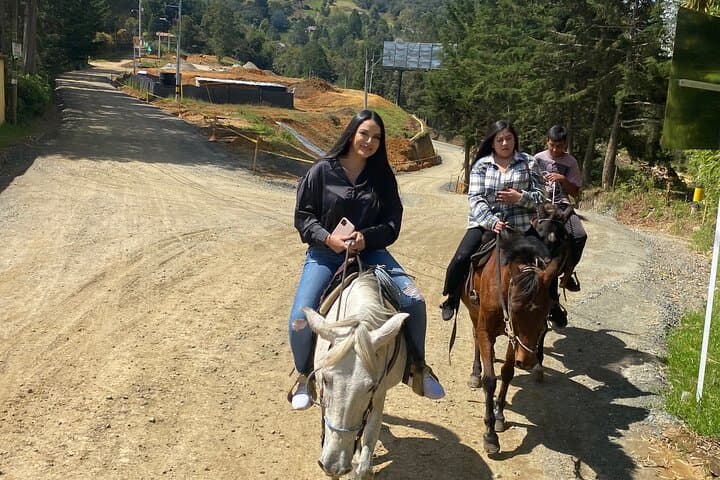 Half-Day Horseback Ride Through Santa Elena's Forests from Medellín photo 6