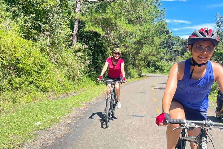 Da Lat to Mui Ne: 70km Coastal Descent Through Pine Forests and Dragon Fruit Farms photo 4