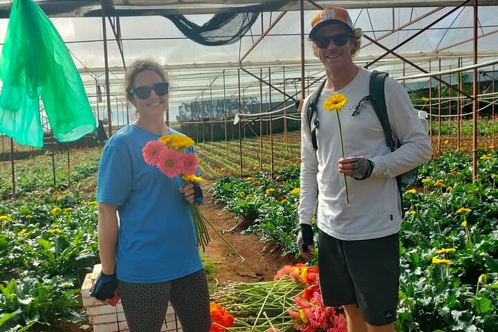 Cycling the Da Lat Countryside: Flower Villages, Waterfalls & Coffee Farms photo 2