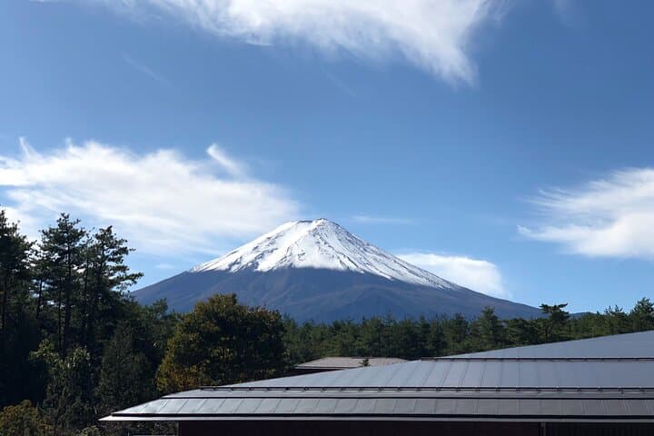 Mt Fuji & Hakone Day Trip from Tokyo: Sky Gondola, Lake Cruise & 5th Station photo 3