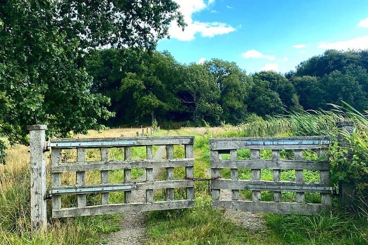 Swedish Countryside Bike Tour: Private Daytrip from Malmö photo 3