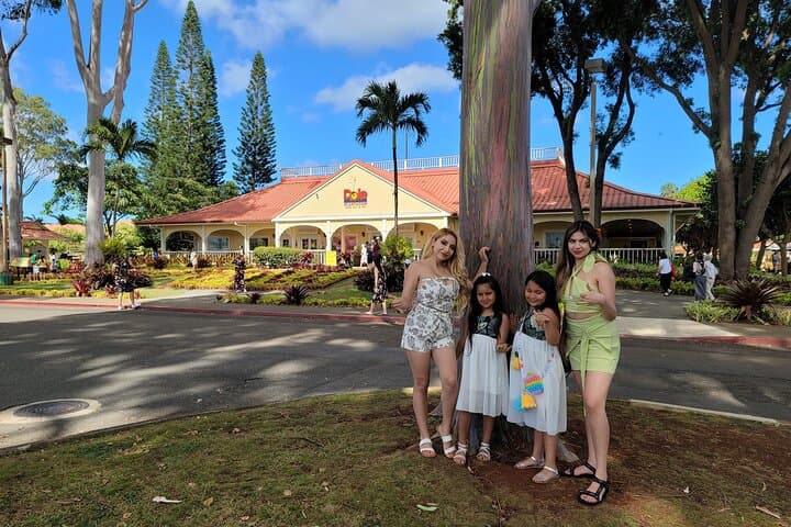 Byodo Temple & Waimea Botanical Garden Tour — Circle-Island Day Trip from Waikiki photo 2