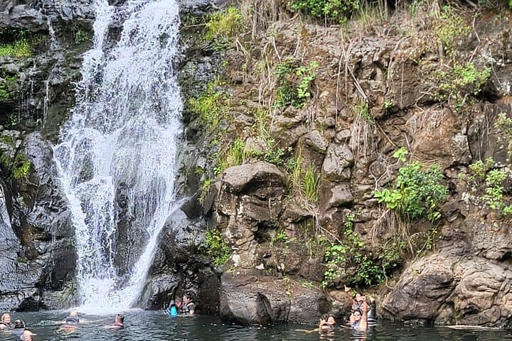 Byodo Temple & Waimea Botanical Garden Tour — Circle-Island Day Trip from Waikiki photo 5