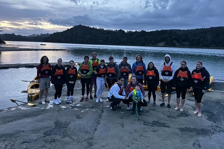 Auckland Bioluminescence Kayak Tour: Night Paddle Through Glowing Waters photo 6