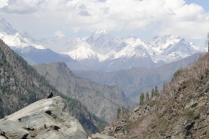 Guna Devi Temple Hike from McLeodganj: A Day Trek into the Kangra Hills photo 4