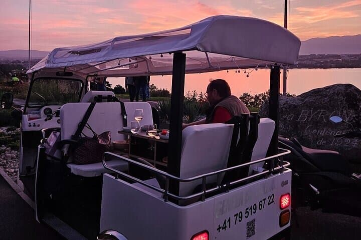 Geneva Electric TukTuk Sightseeing: Jet d'Eau, Old Town & Nations in 75 Minutes photo 3