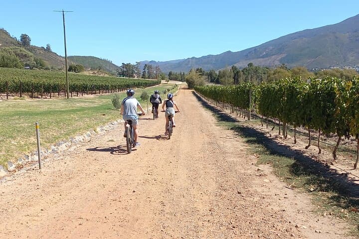 Franschhoek E-Bike and Wine Tour: Half-Day Shared Winelands Ride