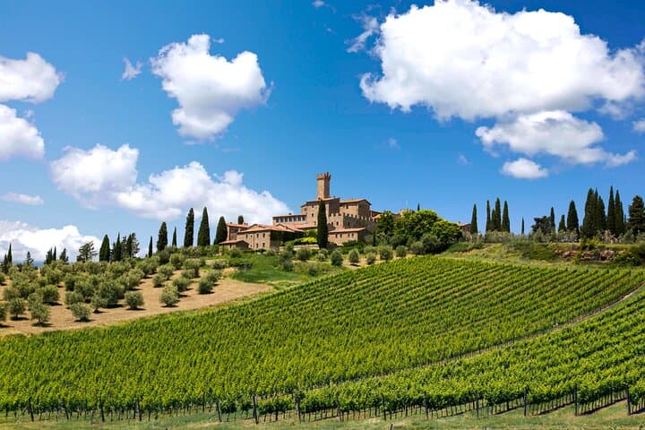 Private Full-Day Tuscan Wine Tour: Chianti Wineries, Lunch & Tastings photo 6