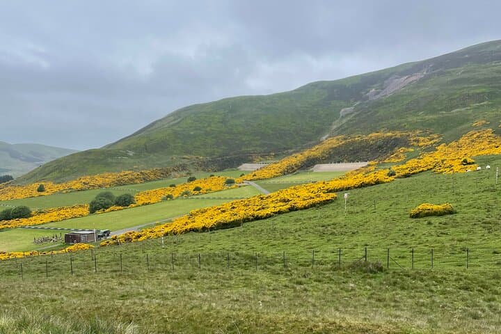 Rosslyn Chapel & Da Vinci Code Tour: Castlelaw Hillfort, Penicuik House & Roslin photo 3