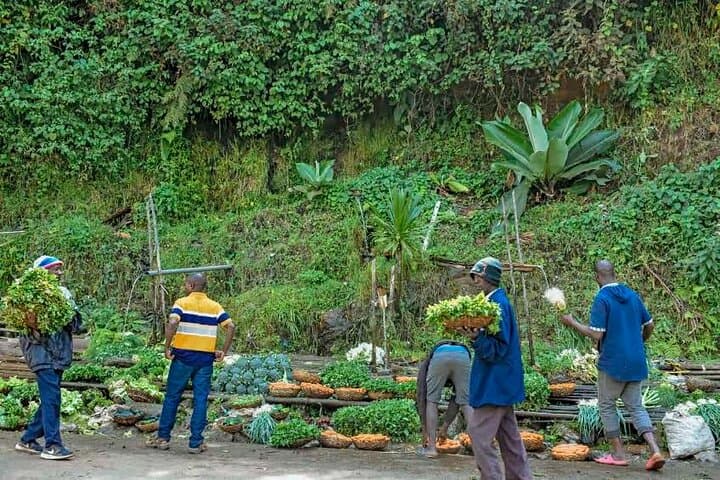 Discover Burundi: 5-Day Private Tour to 10 Top Sites photo 5