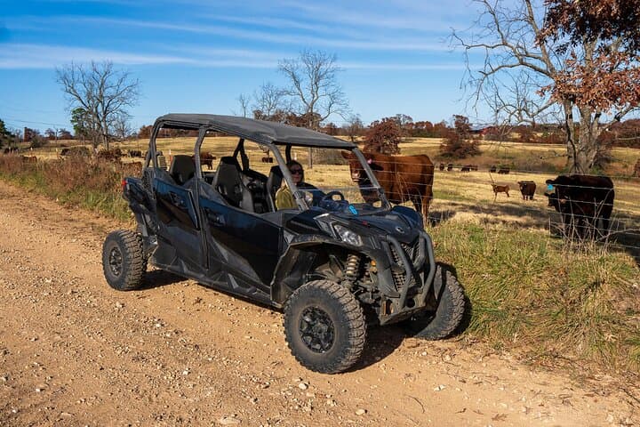 Guided Ozarks Off-Road Adventure Tour on a Working Cattle Ranch near Branson photo 2