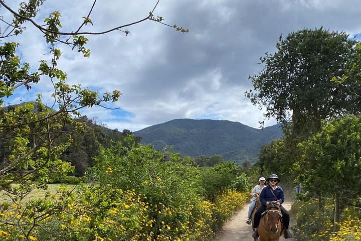 Private Horseback Ride to Cerro el Mollar and Cachagua Hills photo 3
