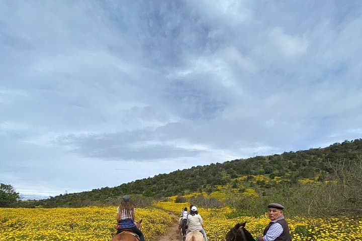 Private Horseback Ride to Cerro el Mollar and Cachagua Hills photo 4