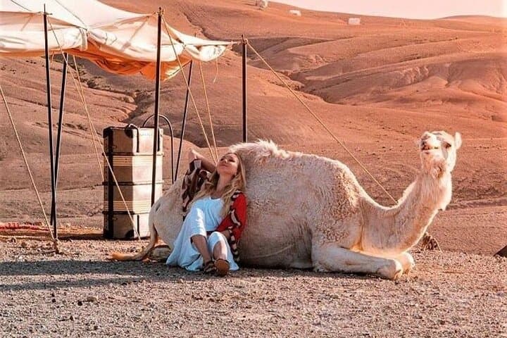 Agafay Desert and High Atlas Day Trip: Camel Rides, Berber Villages & Mountain Walks