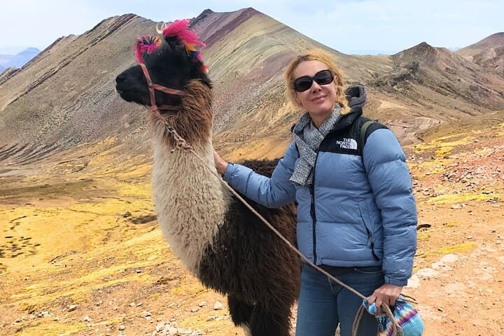 Palcoyo Colored Mountain Tour with Alpacas — Easy High-Altitude Hike from Cusco