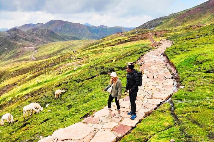 Palcoyo Colored Mountain Tour with Alpacas — Easy High-Altitude Hike from Cusco photo 3