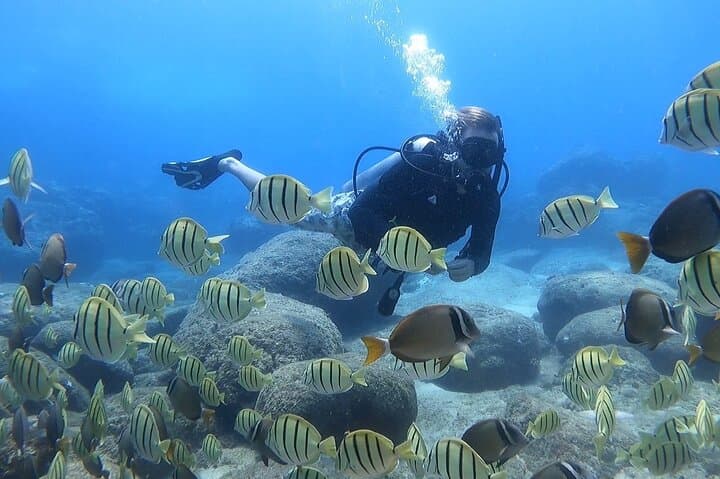 Beginner Scuba Diving in Honolulu at Magic Island Lagoon (Free Video Package)