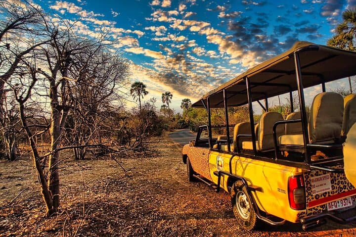 First-Light Safari Drive in Zambezi National Park, Victoria Falls photo 2