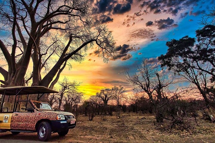 First-Light Safari Drive in Zambezi National Park, Victoria Falls photo 3