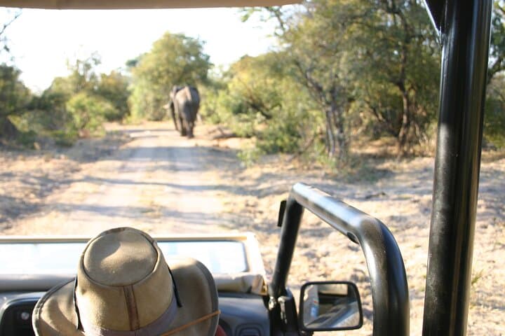 Victoria Falls Town 4x4 Safari — Private Open-Top Jeep Tour photo 2