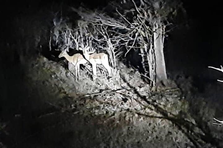 Bush Stargazing by 4x4 at Victoria Falls: Night Safari & Astronomy Guide photo 5