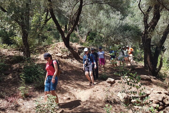 Ouzoud Waterfalls Day Trip from Marrakech — Boat Ride & Olive-Grove Views photo 3