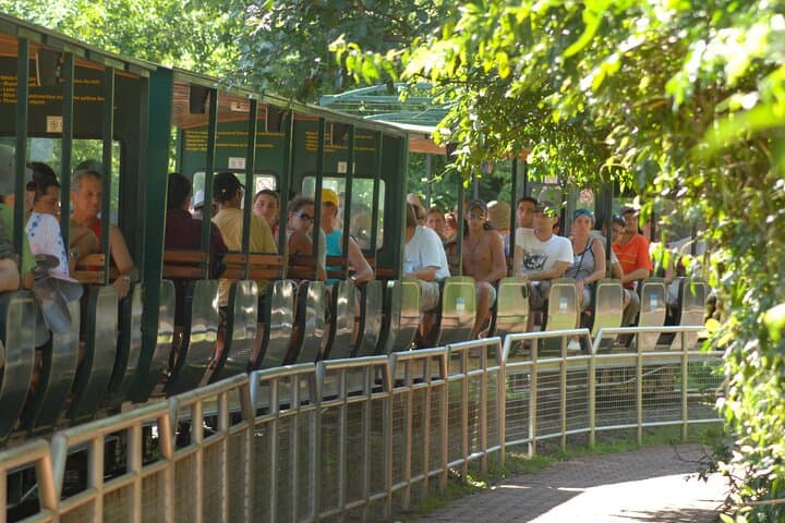 Iguazu Falls Saver Package — Visit Both Argentine & Brazilian Sides with Transfers photo 3