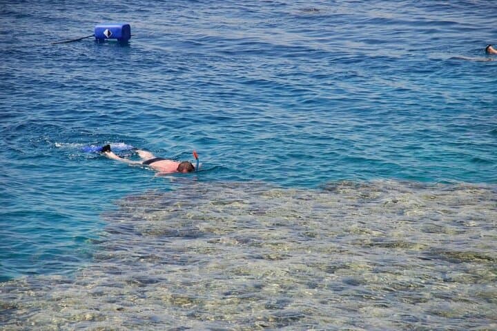 Ras Mohammed & White Island VIP Boat Trip from Sharm El Sheikh – Snorkel the Red Sea photo 2