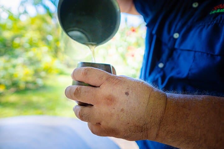 La Fortuna Sloth Tour and Tortilla Cooking Class - Wildlife Walk & Cultural Tasting photo 6